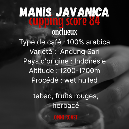 MANIS JAVANICA : café de spécialité | Indonésie