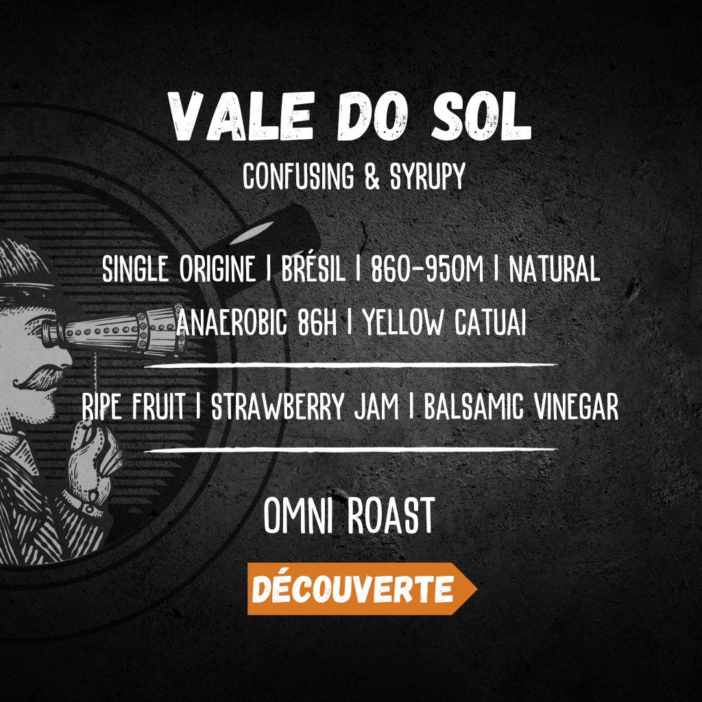 profil aromatique et caractéristiques du café vale do sol omniroast
