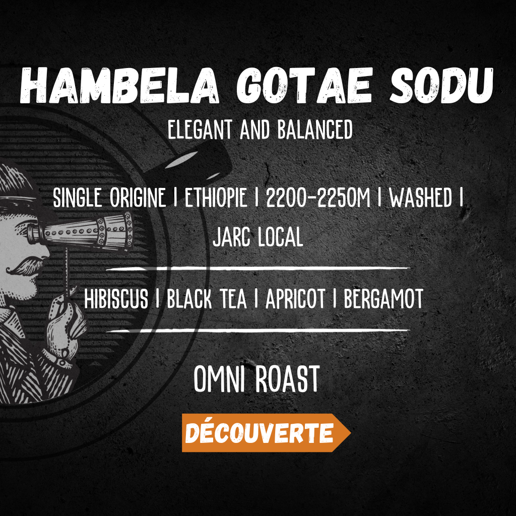 profil aromatique et fermentation du café ethiopien Hambela Gotae