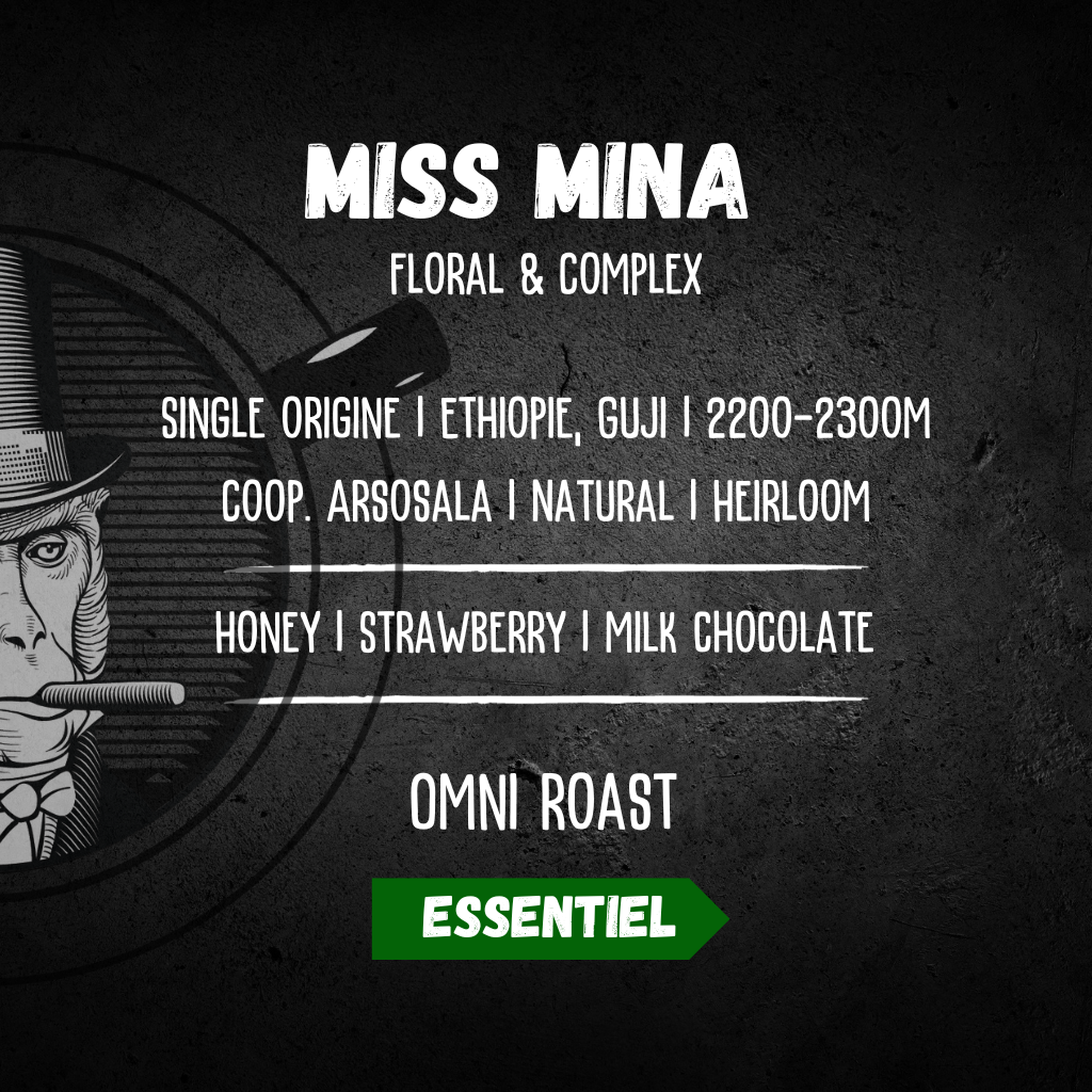 caractéristique techniques et profil aromatique du café de spécialité miss mina 