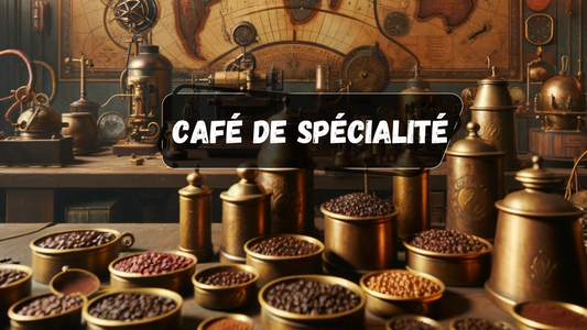 Un laboratoire avec de nombreux échantillons de café