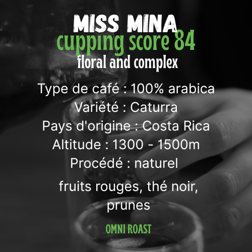 MISS MINA : café de spécialité | Costa Rica