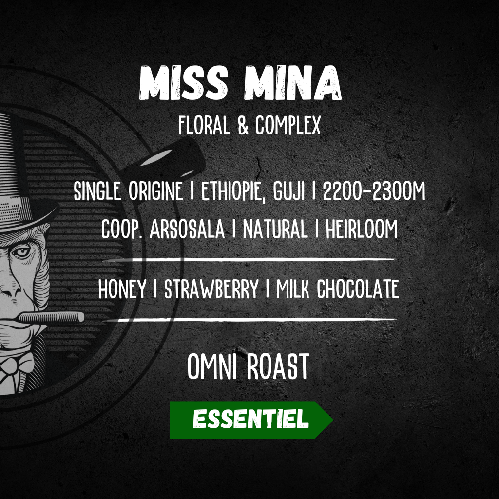 Miss Mina - specialty coffee | Ethiopia – Alchemists Coffee